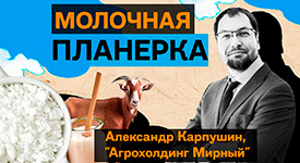 Новый выпуск подкаста «Молочная планерка» с генеральным директором Агрохолдинга «Мирный» Александром Карпушиным