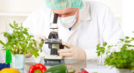 Подготовлены поправки в техрегламент ТС «О безопасности пищевой продукции»