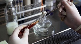 Новые документы: новые правила ветеринарно-санитарной экспертизы животных