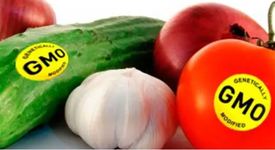 Новые документы: новая маркировка ГМО и защита почв от химикатов