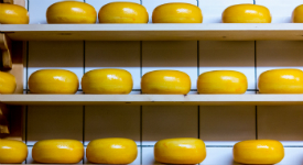 Новые документы: внесение сыроподобных продуктов в перечень товаров ЕАЭС