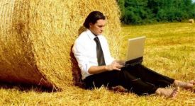 Новые документы: краткосрочные кредиты и субсидии
