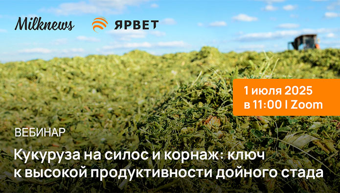 пройдет вебинар «Кукуруза на силос и корнаж: ключ к высокой продуктивности дойного стада»