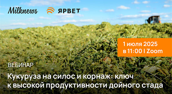 пройдет вебинар «Кукуруза на силос и корнаж: ключ к высокой продуктивности дойного стада»