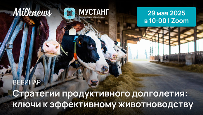 пройдет вебинар «Стратегии продуктивного долголетия: ключи к эффективному животноводству»
