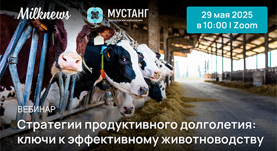 пройдет вебинар «Стратегии продуктивного долголетия: ключи к эффективному животноводству»