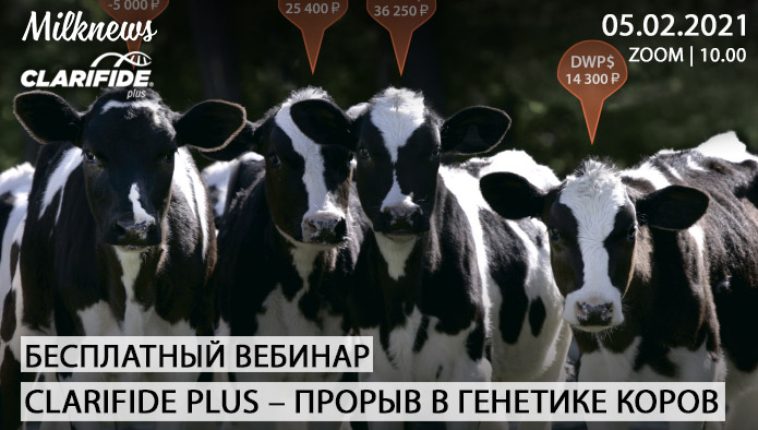Milknews и «Зоэтис» проведут вебинар «CLARIFIDE PLUS – ПРОРЫВ В ГЕНЕТИКЕ КОРОВ»