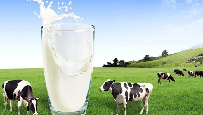 пройдет презентация первого рейтинга производителей молока Татарстана