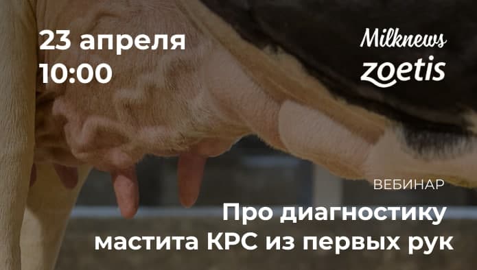 Вебинар «Про диагностику мастита КРС из первых рук»