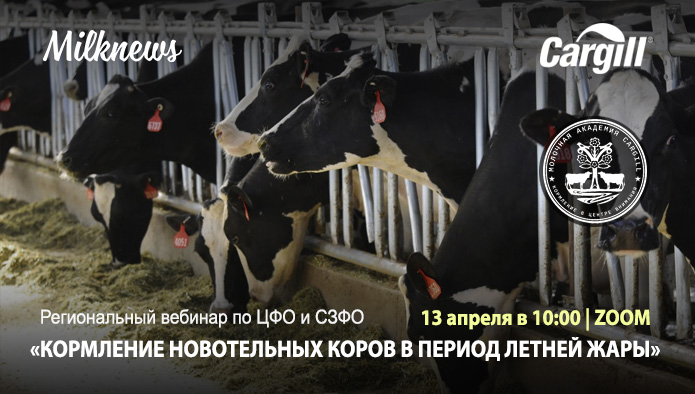 Milknews и Cargill проведут региональный вебинар по ЦФО и СЗФО «Кормление новотельных коров в период летней жары»